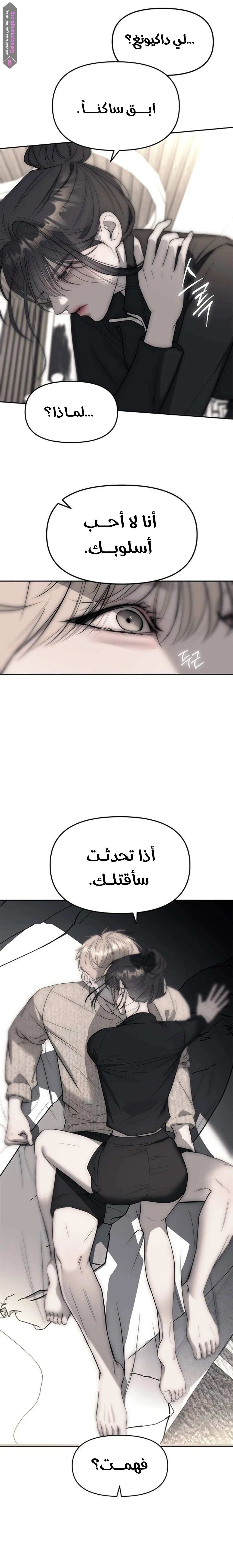 الصفحة 25