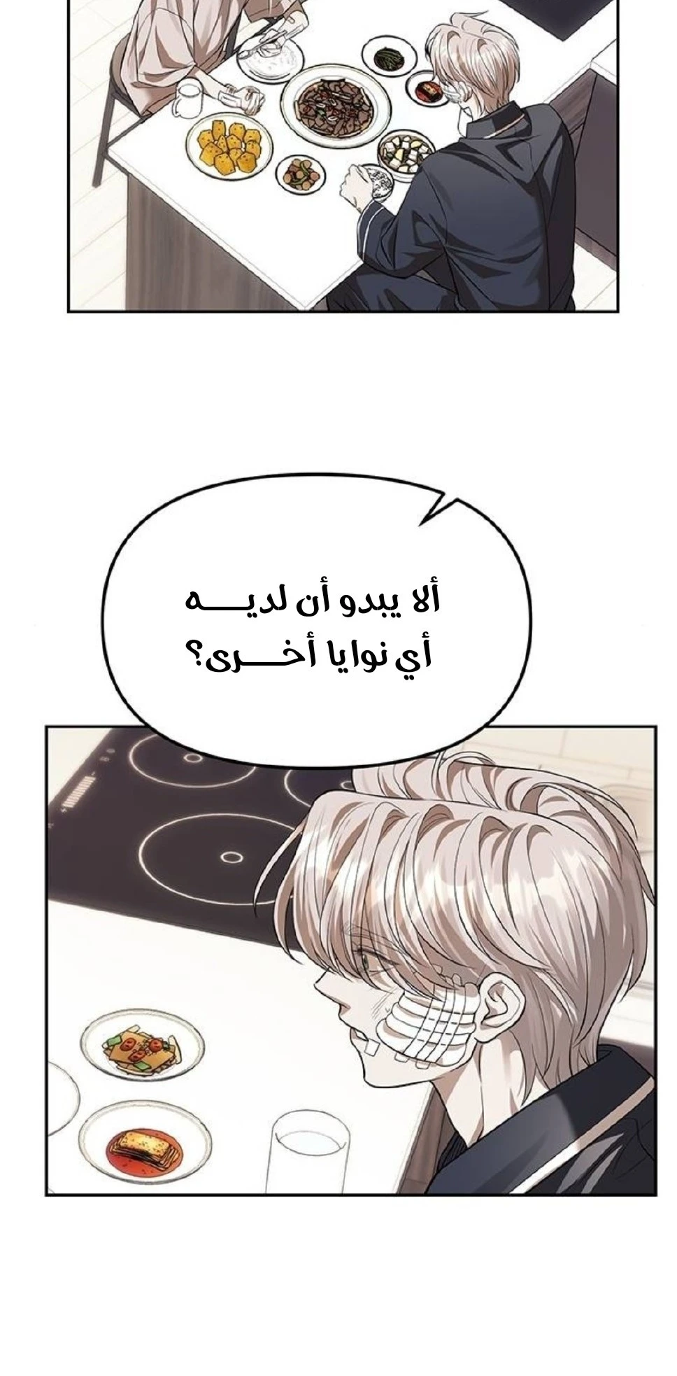 الصفحة 17