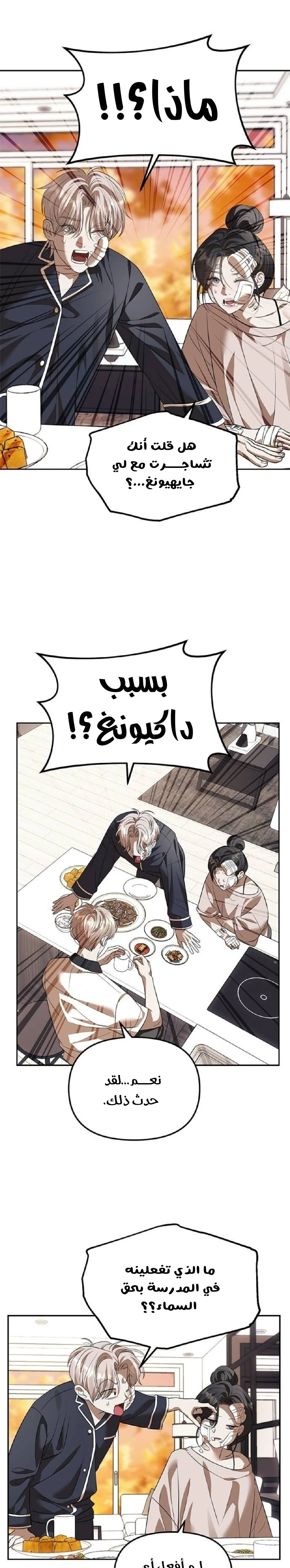 الصفحة 25