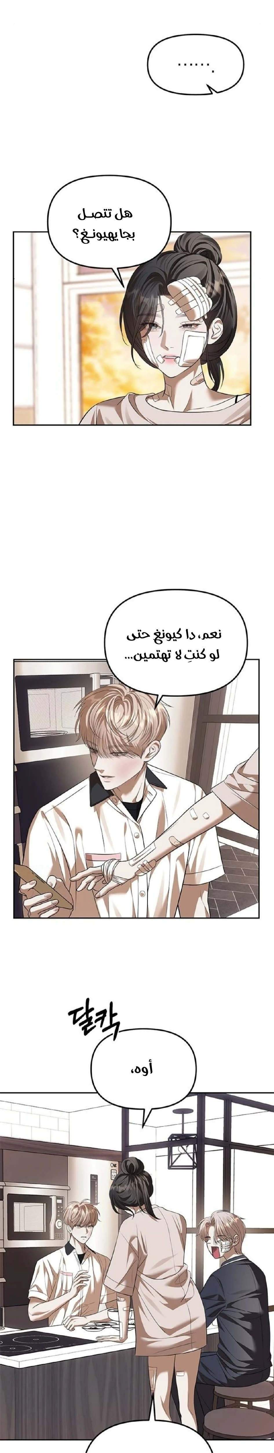 الصفحة 29