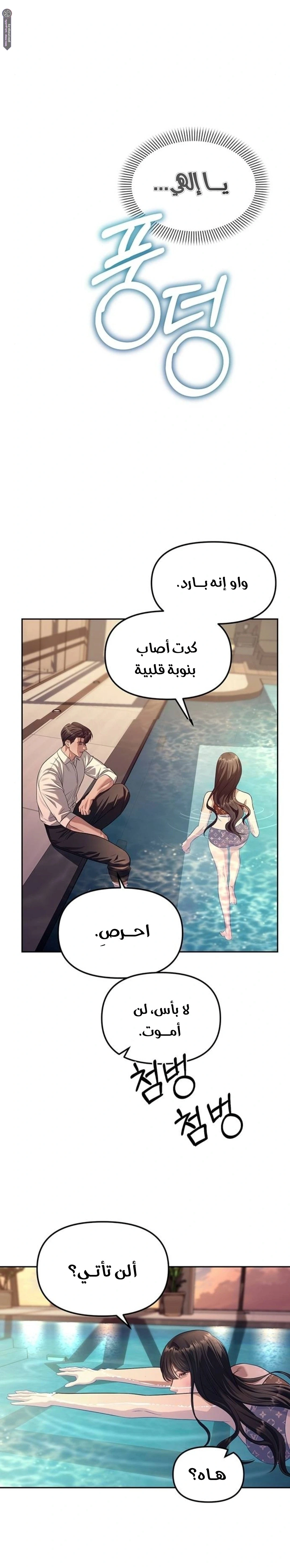 الصفحة 17