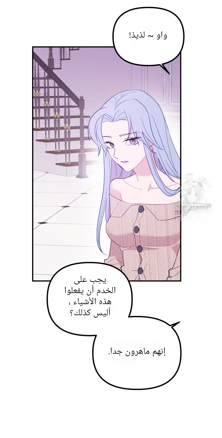 الصفحة 19