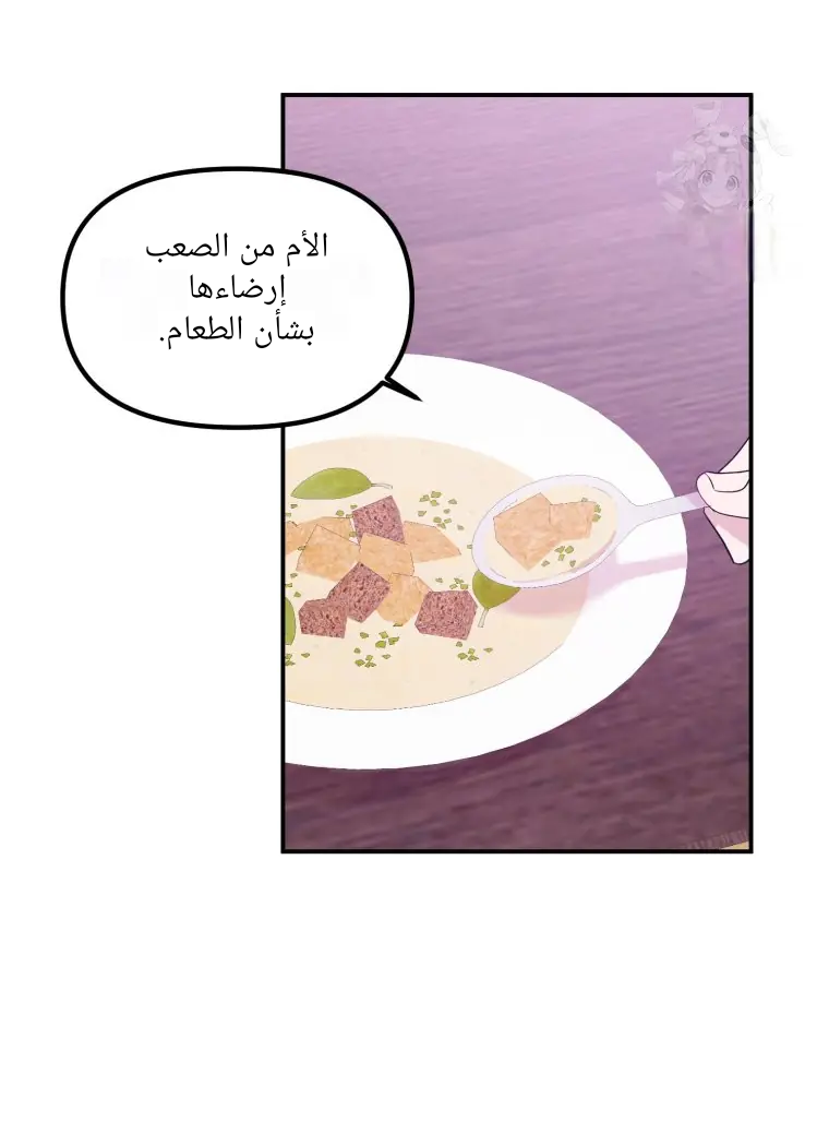 الصفحة 20
