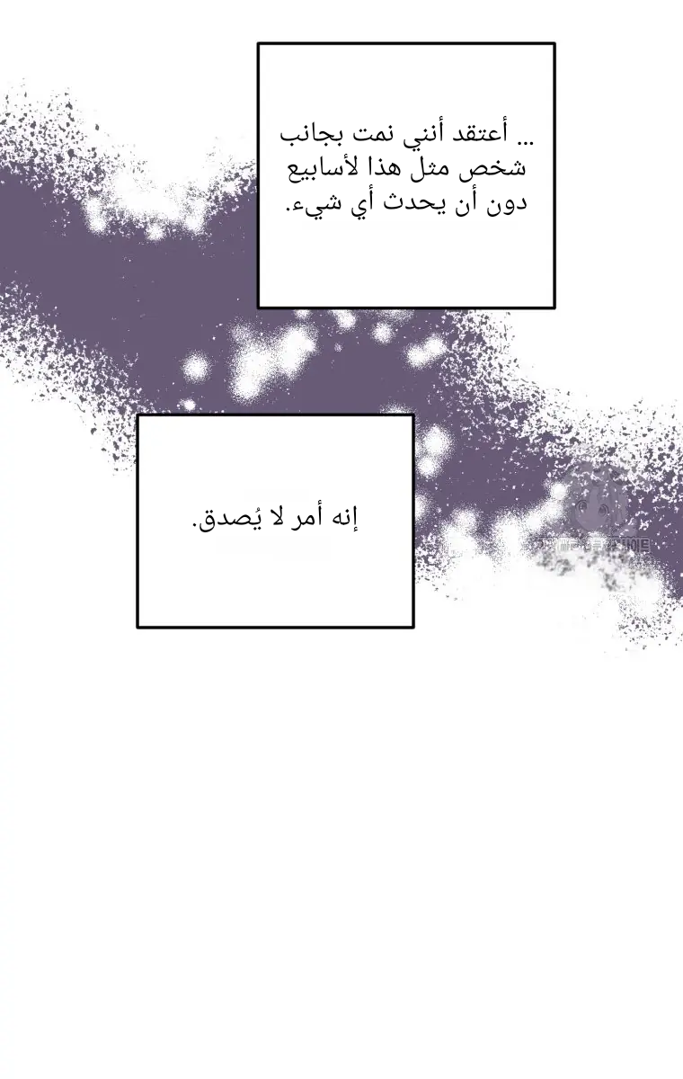 الصفحة 51