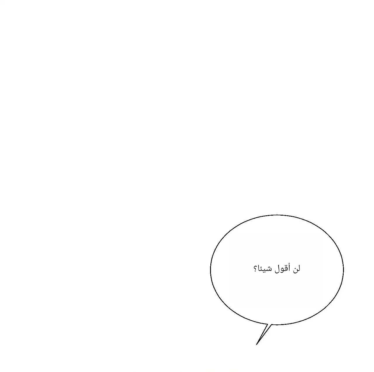 الصفحة 43
