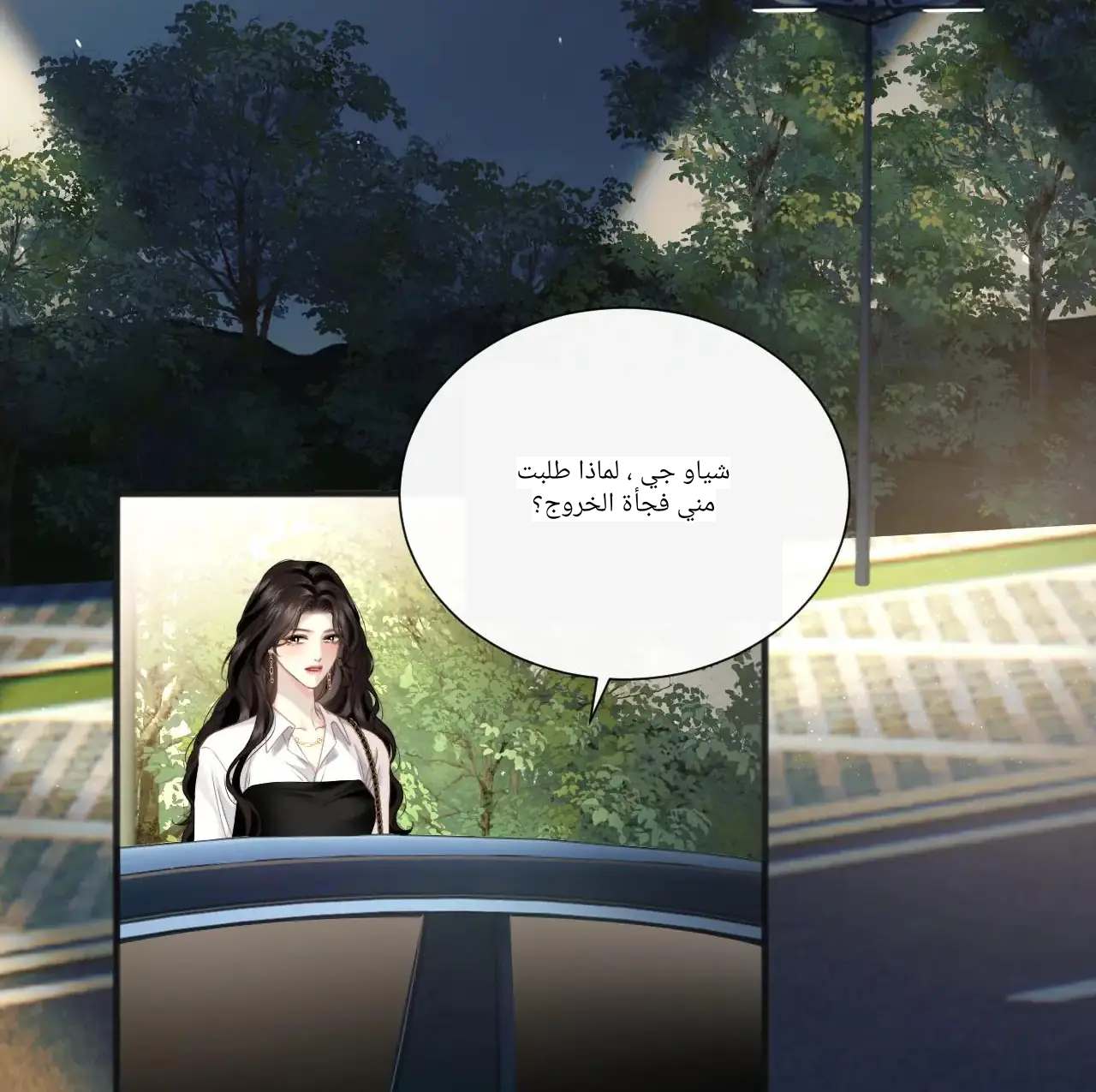الصفحة 25