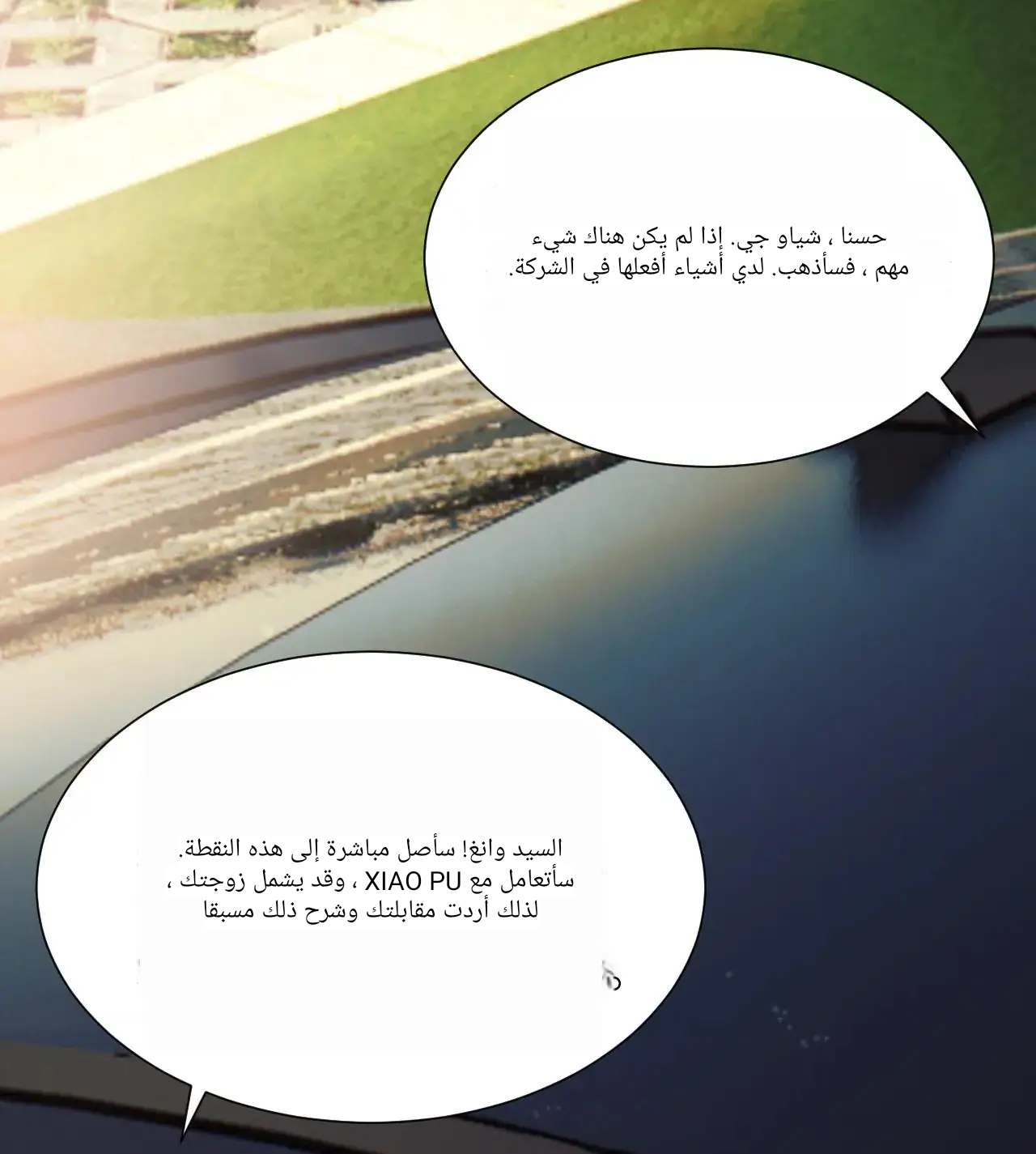الصفحة 27