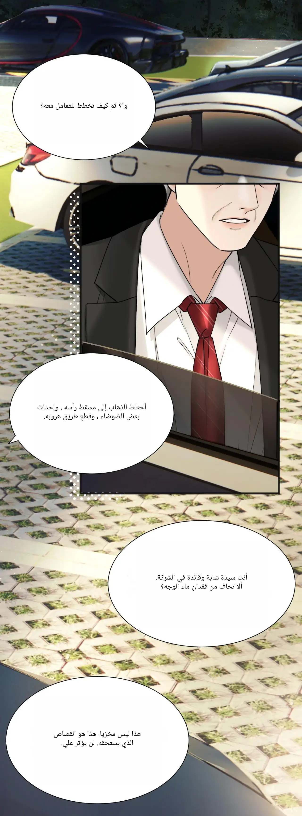 الصفحة 29