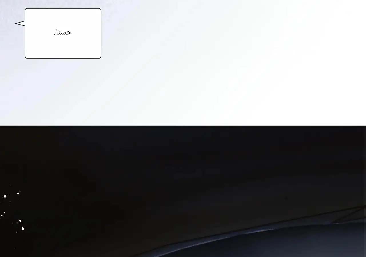 الصفحة 40
