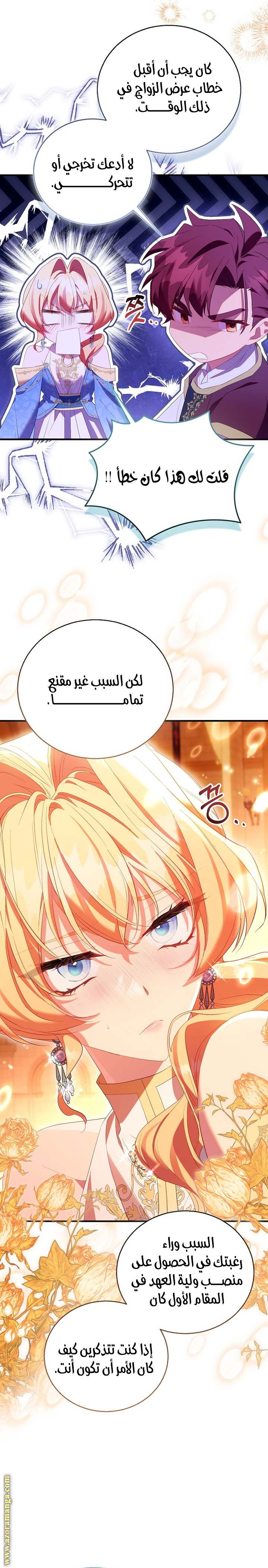 الصفحة 21
