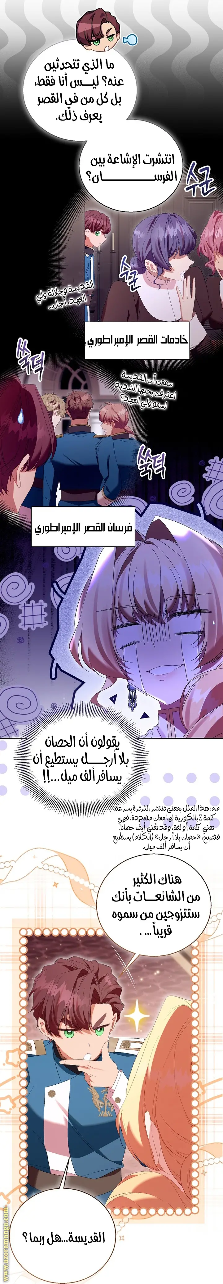الصفحة 8