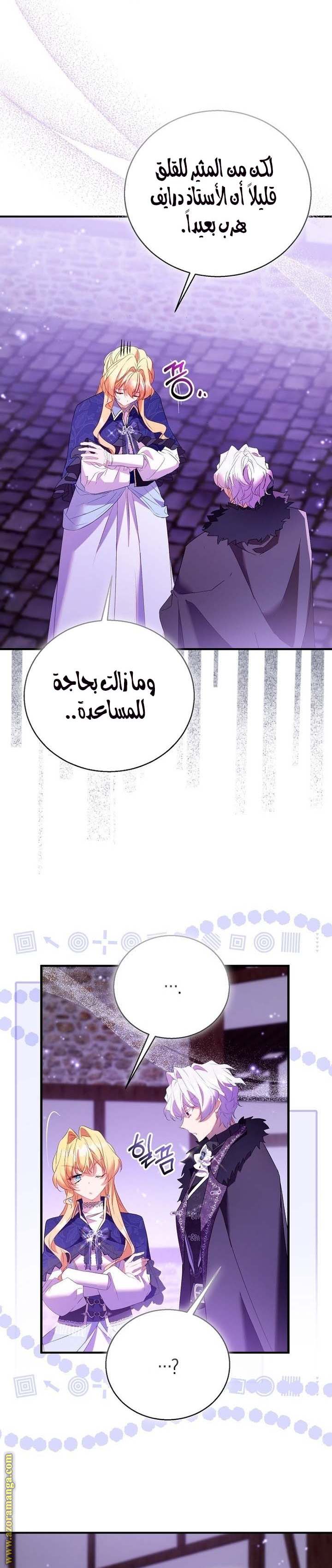 الصفحة 13