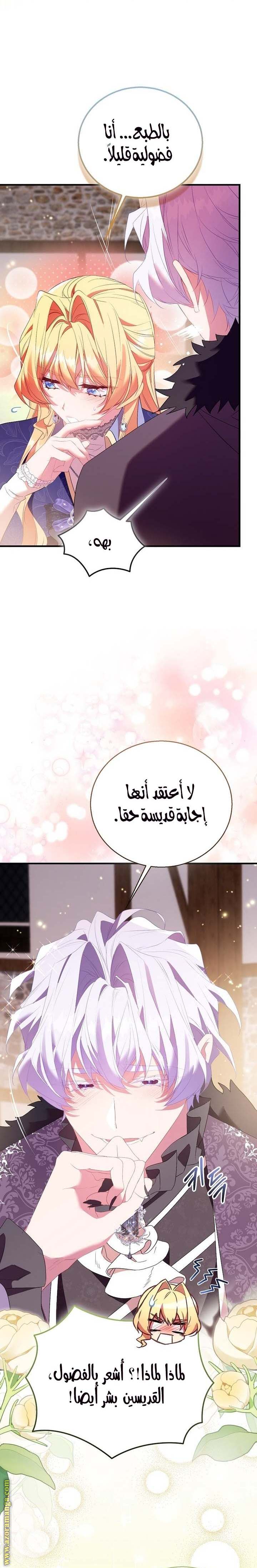 الصفحة 24