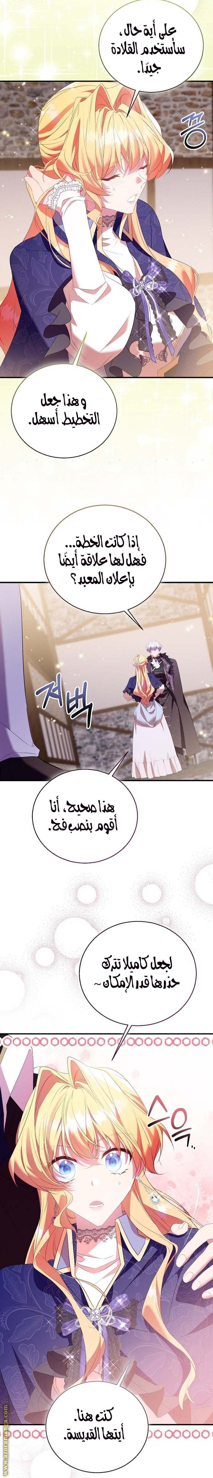 الصفحة 25