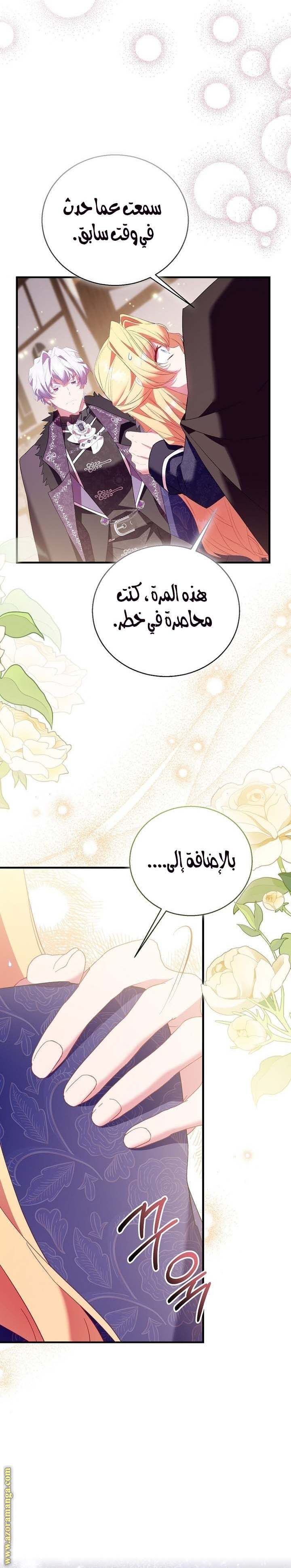 الصفحة 26