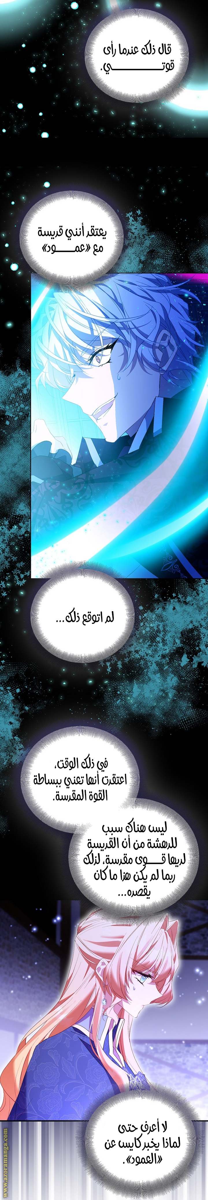 الصفحة 17