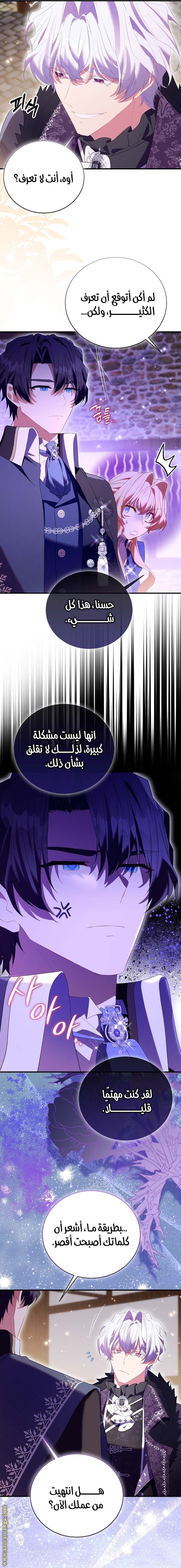 الصفحة 19