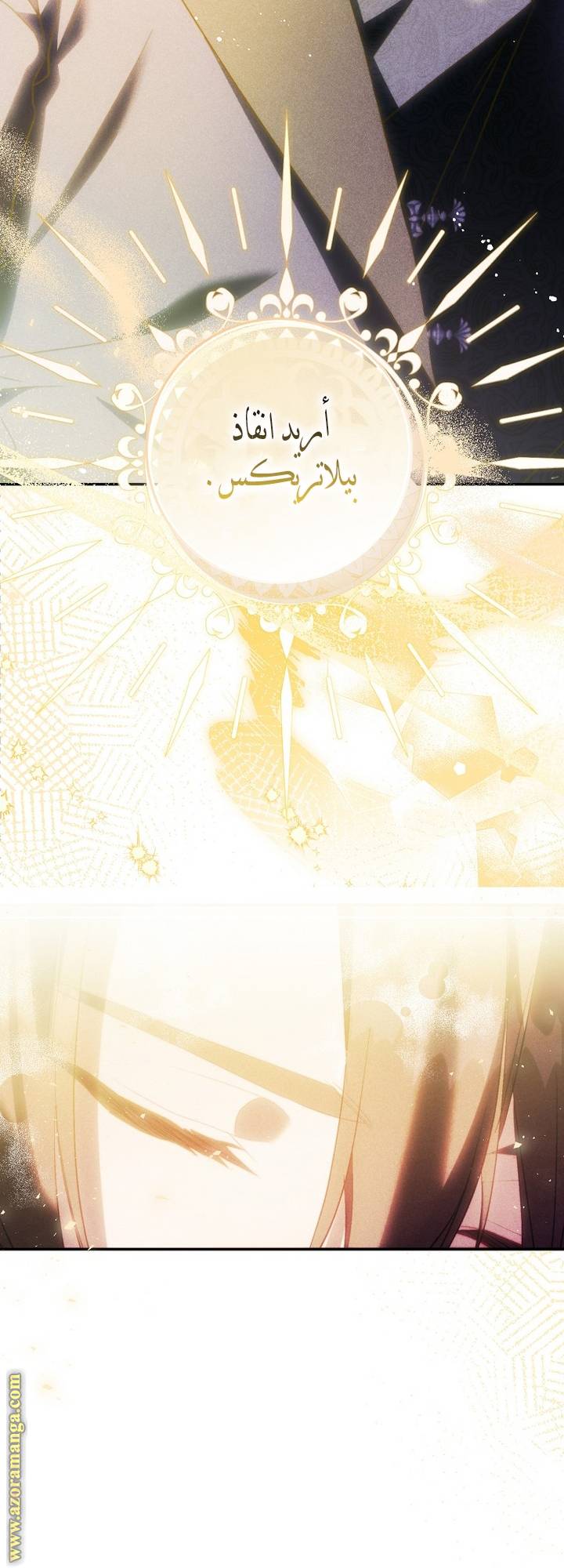 الصفحة 55