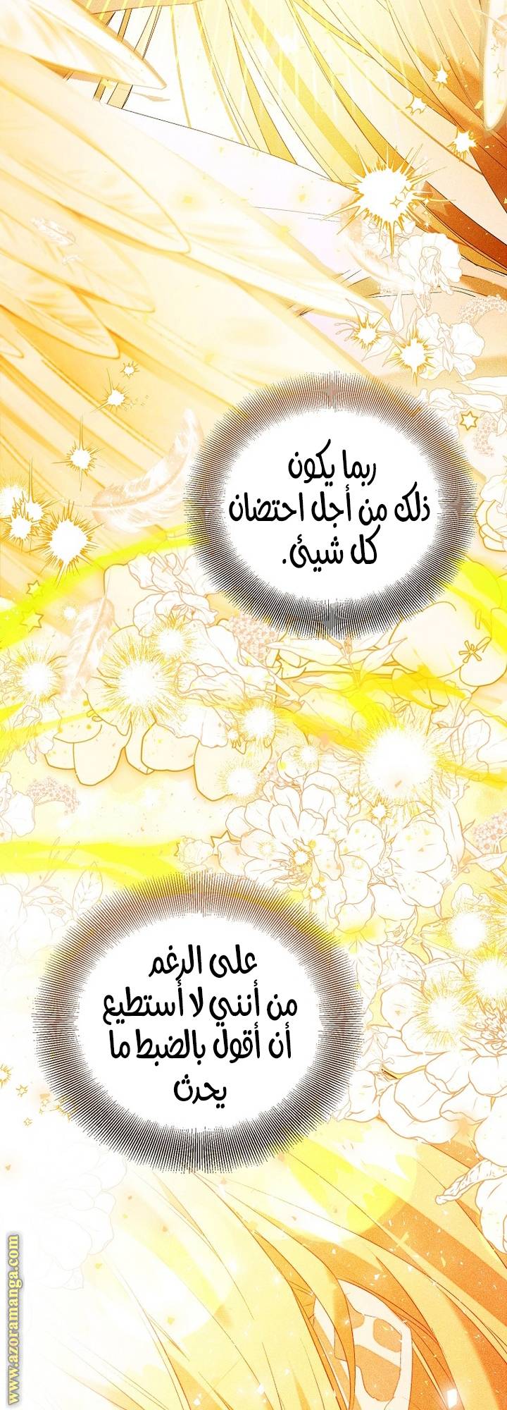 الصفحة 70