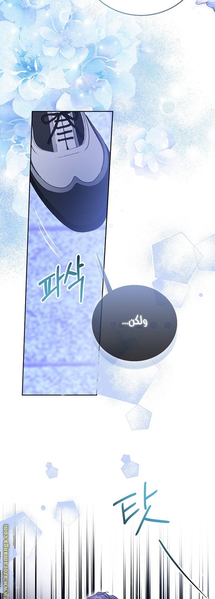 الصفحة 38
