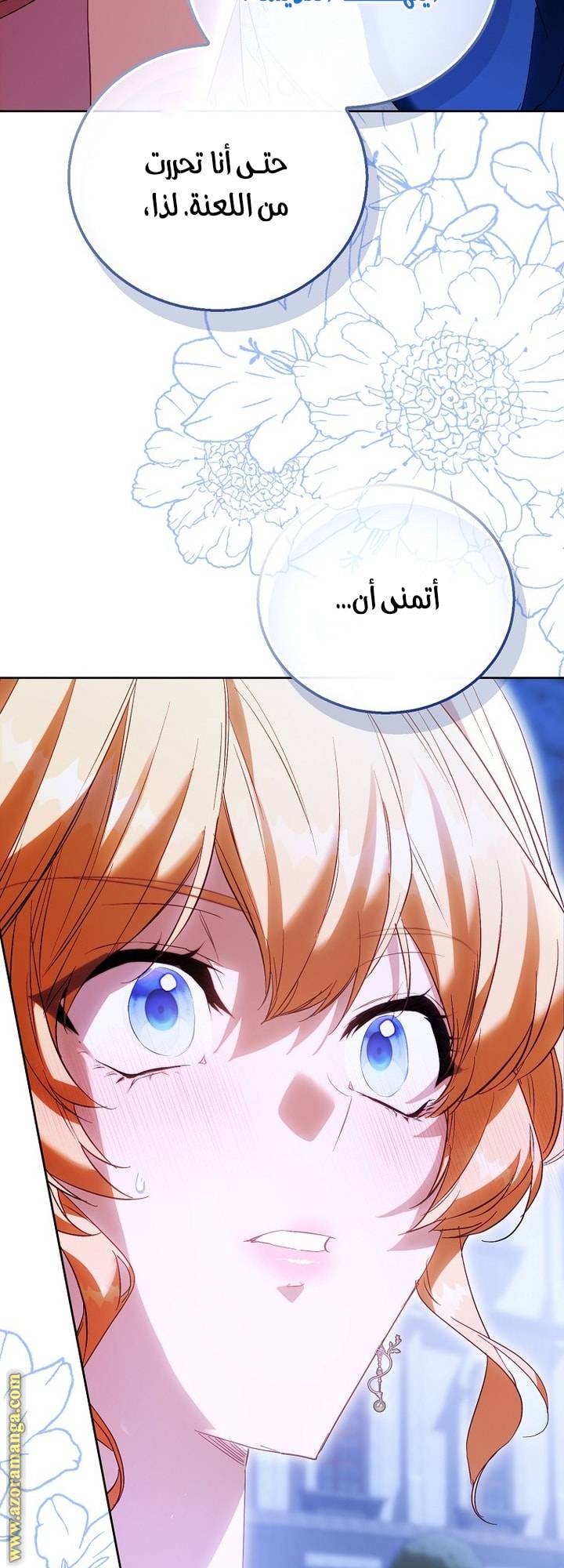 الصفحة 41