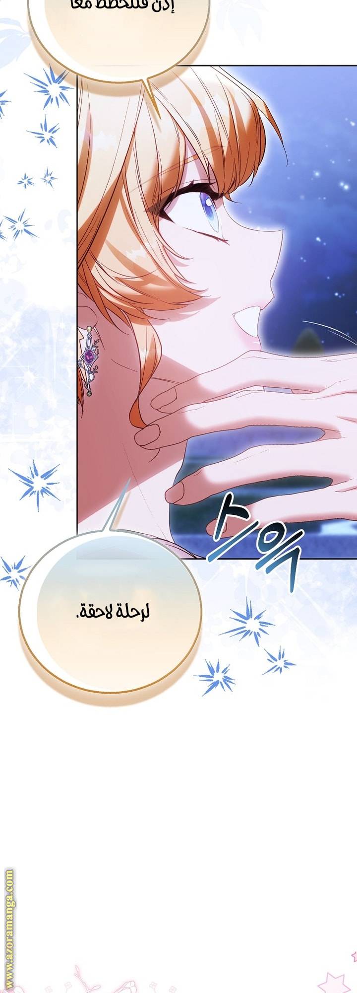 الصفحة 45