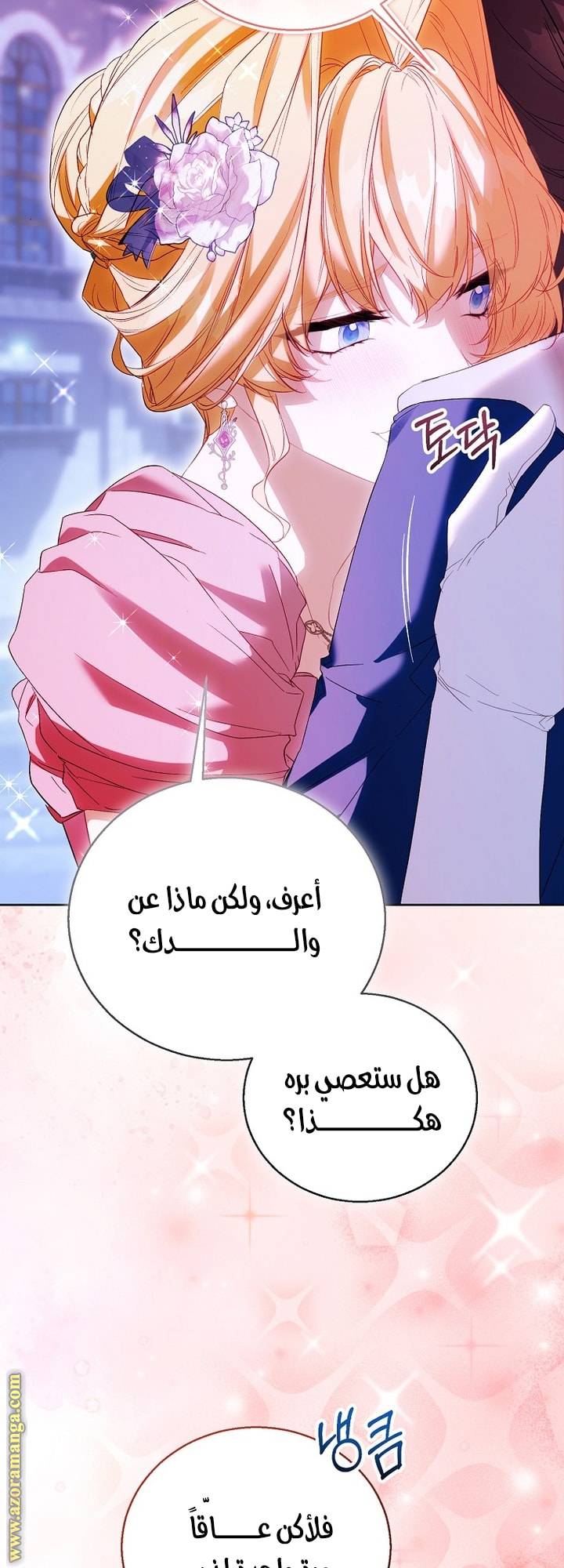 الصفحة 48
