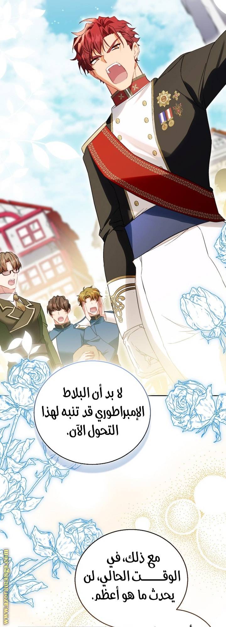 الصفحة 17
