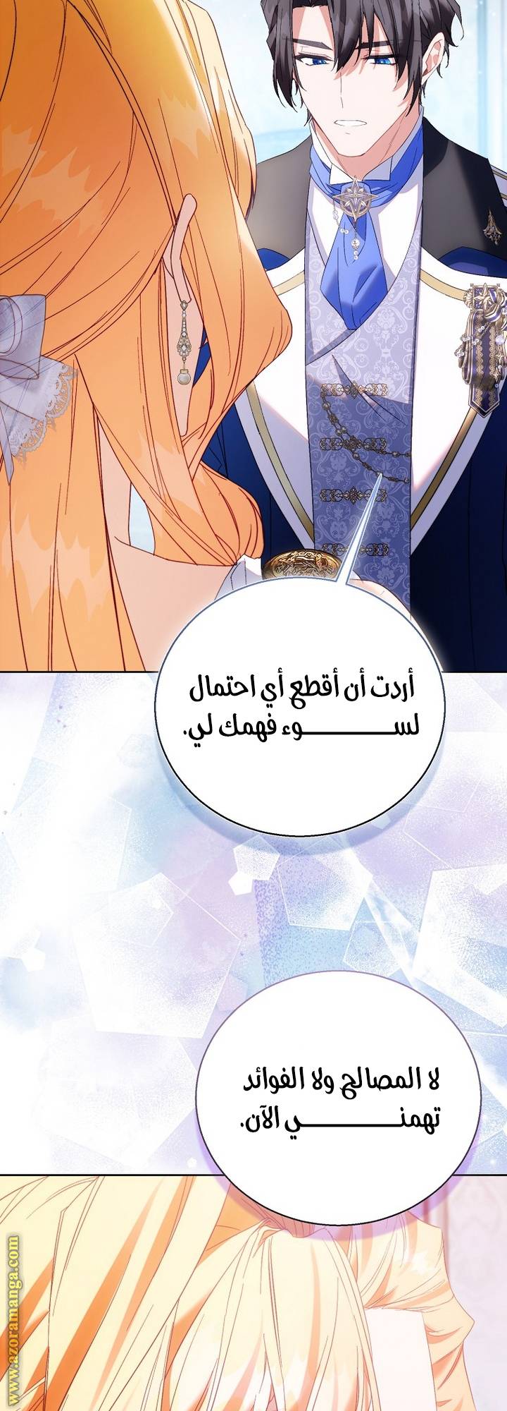 الصفحة 17