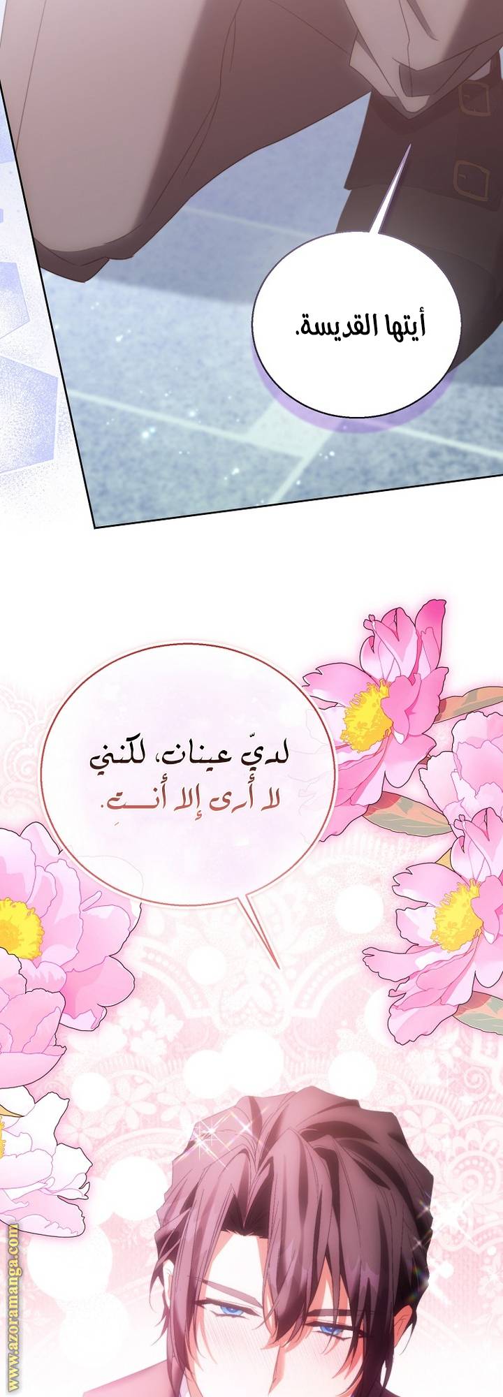 الصفحة 19