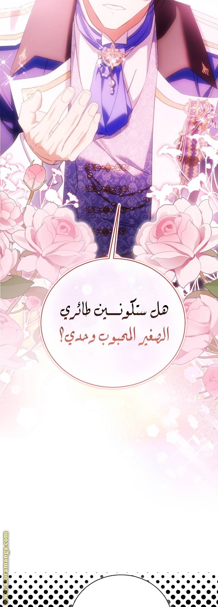 الصفحة 20