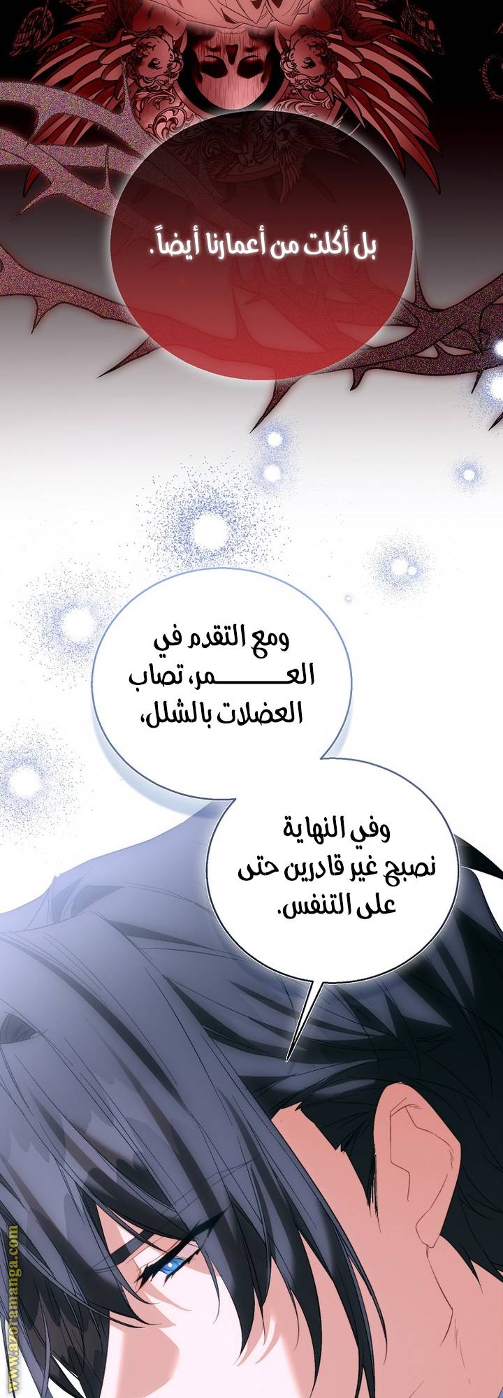 الصفحة 43