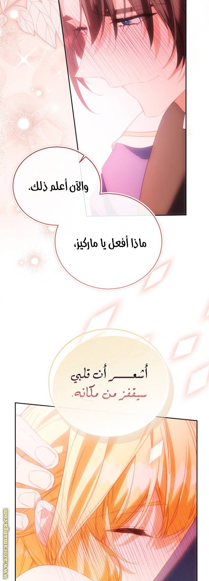 الصفحة 61