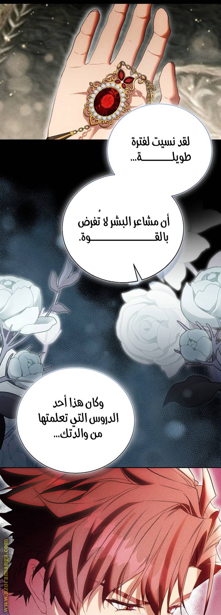 الصفحة 26