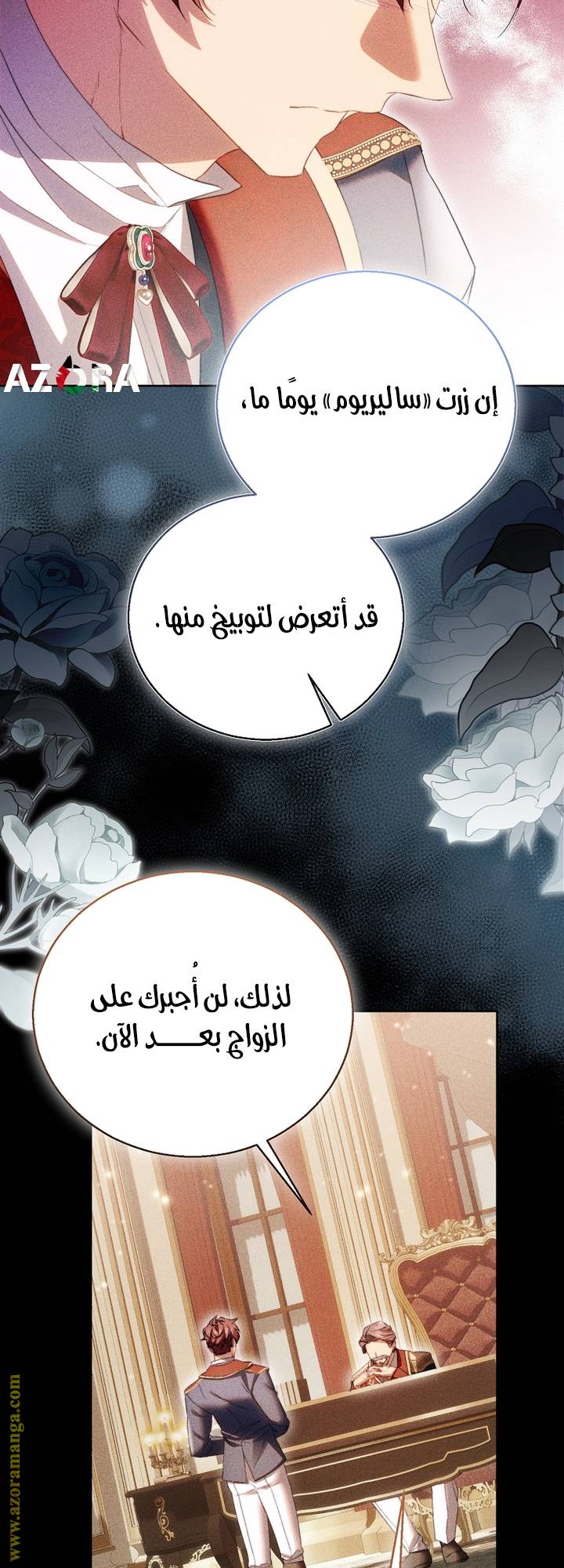 الصفحة 27