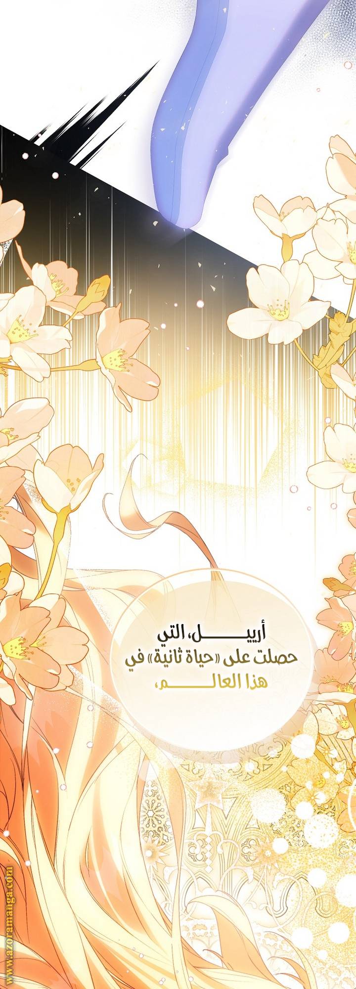 الصفحة 22