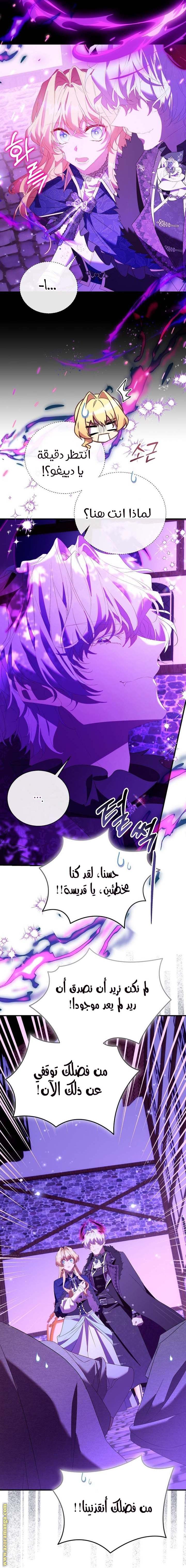 الصفحة 25