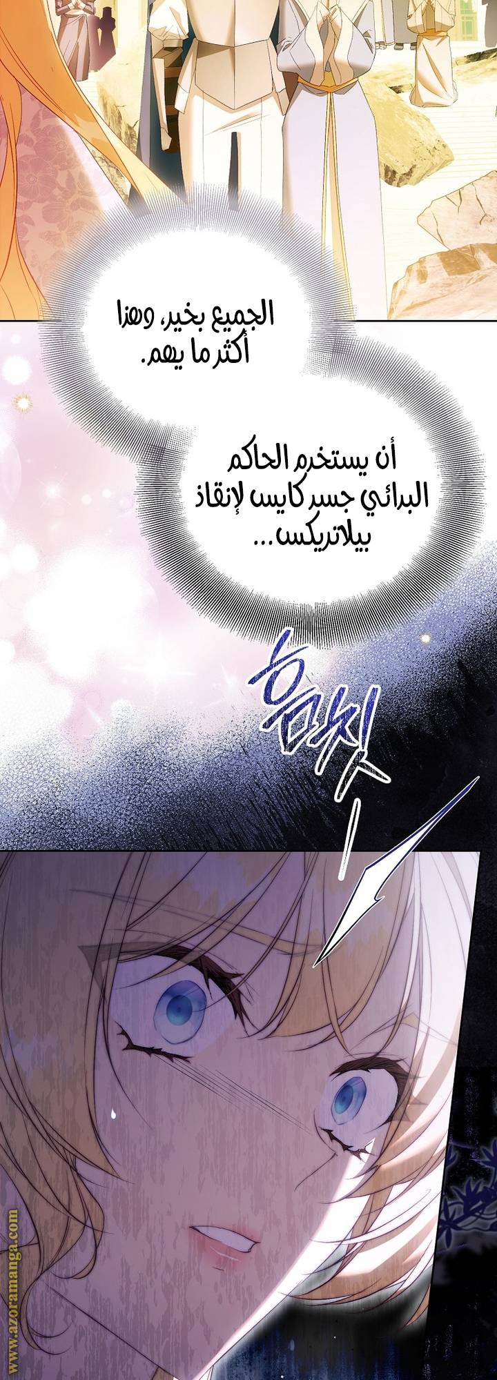 الصفحة 24