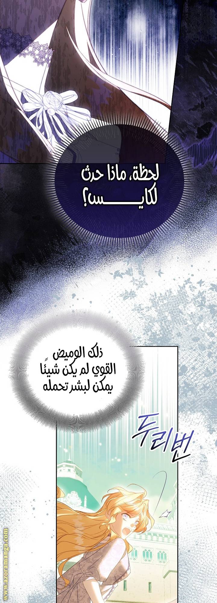 الصفحة 25