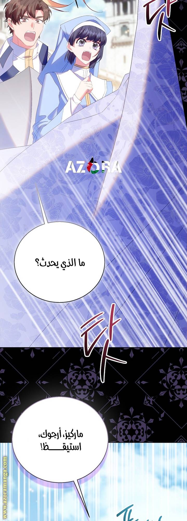 الصفحة 29
