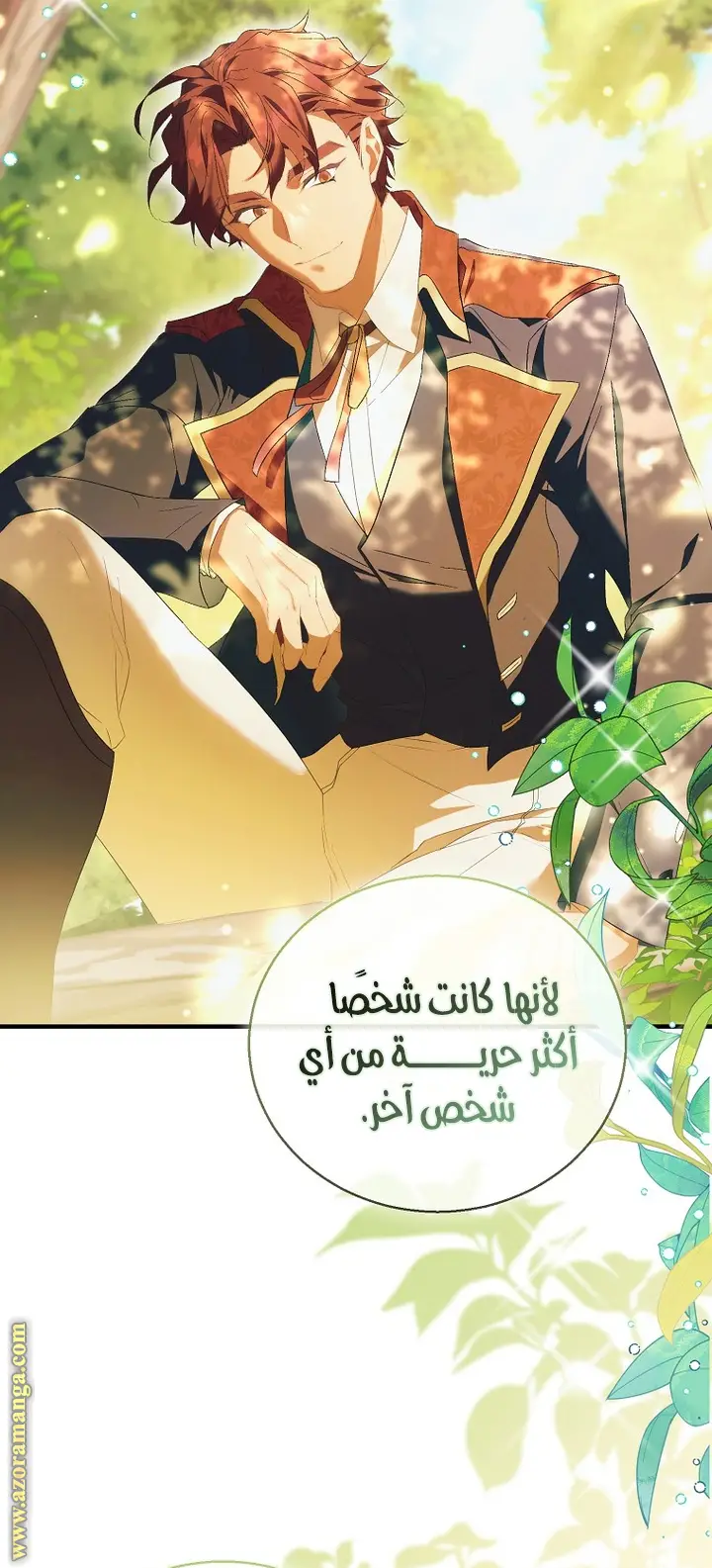 الصفحة 31