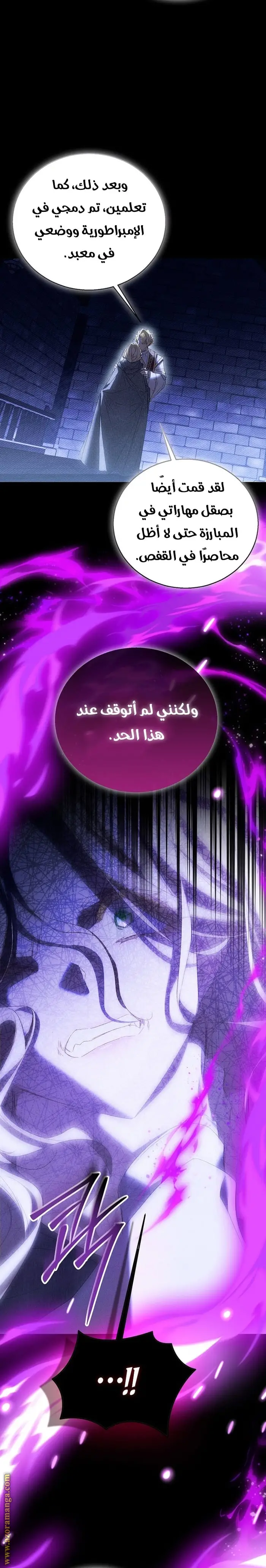 الصفحة 21