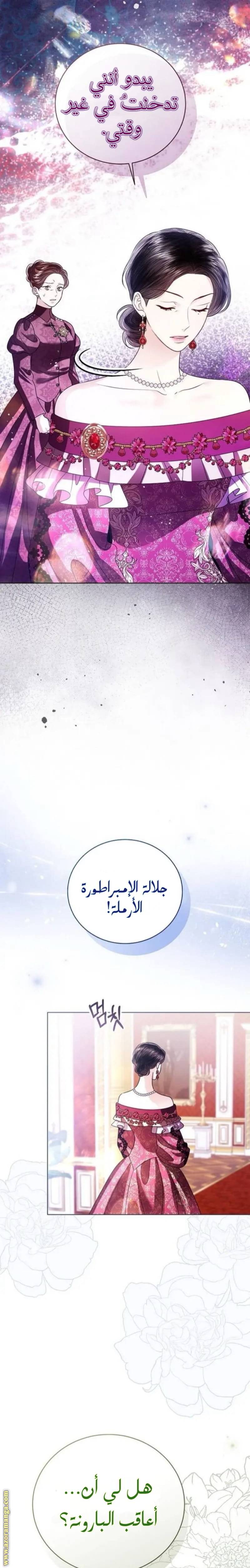 الصفحة 13