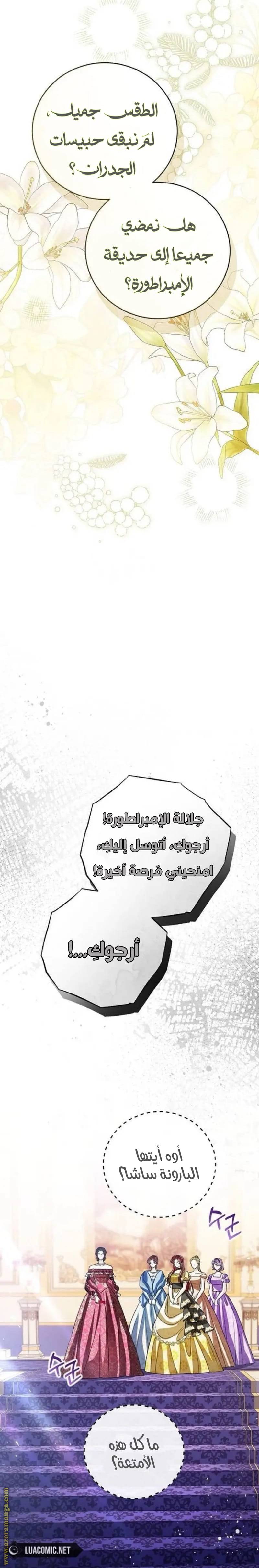 الصفحة 24
