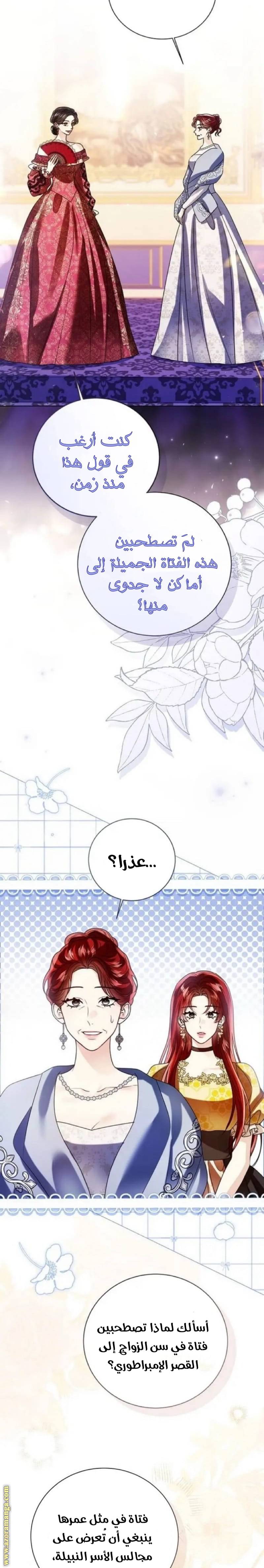 الصفحة 29