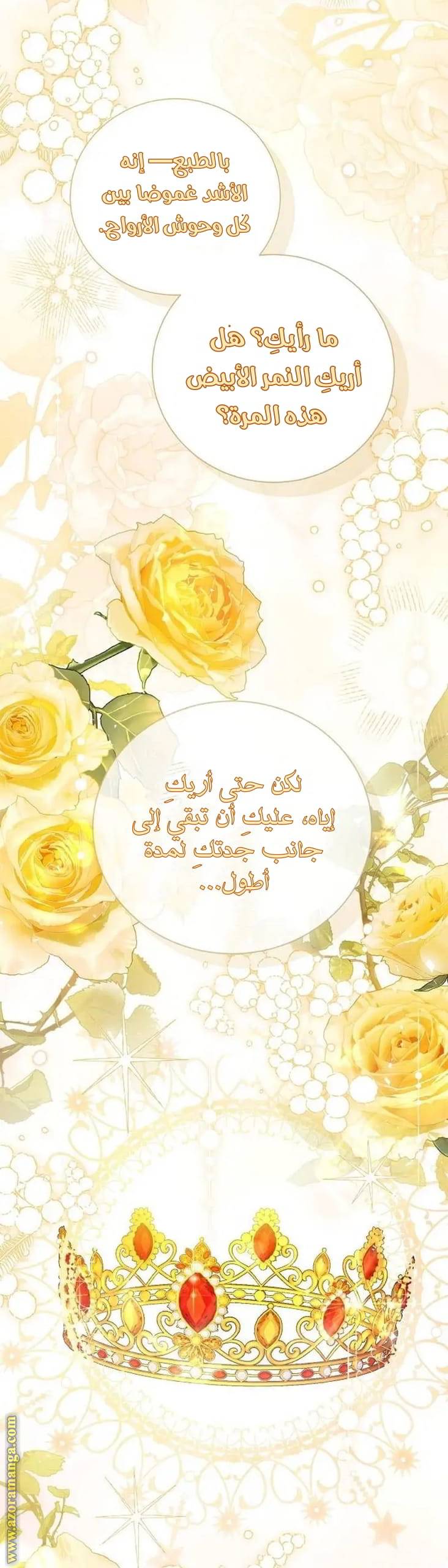 الصفحة 41