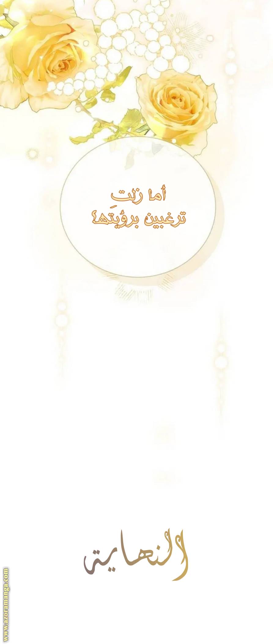 الصفحة 42