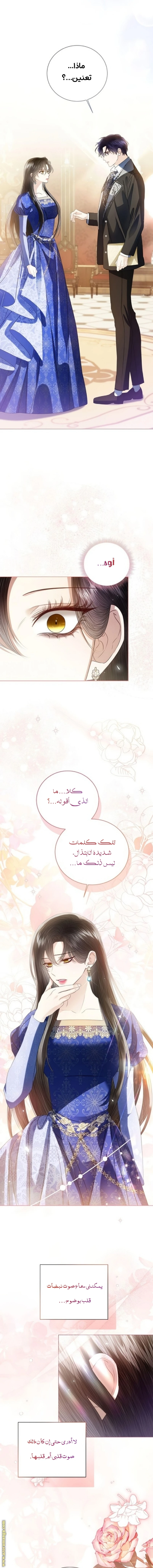 الصفحة 19
