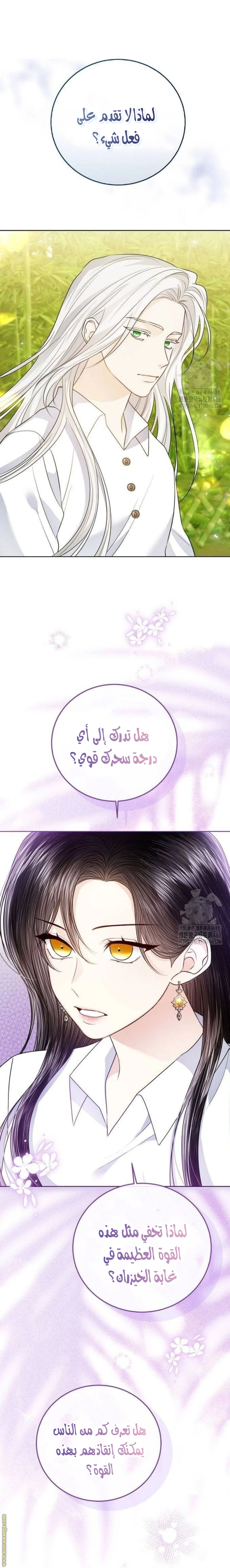 الصفحة 19