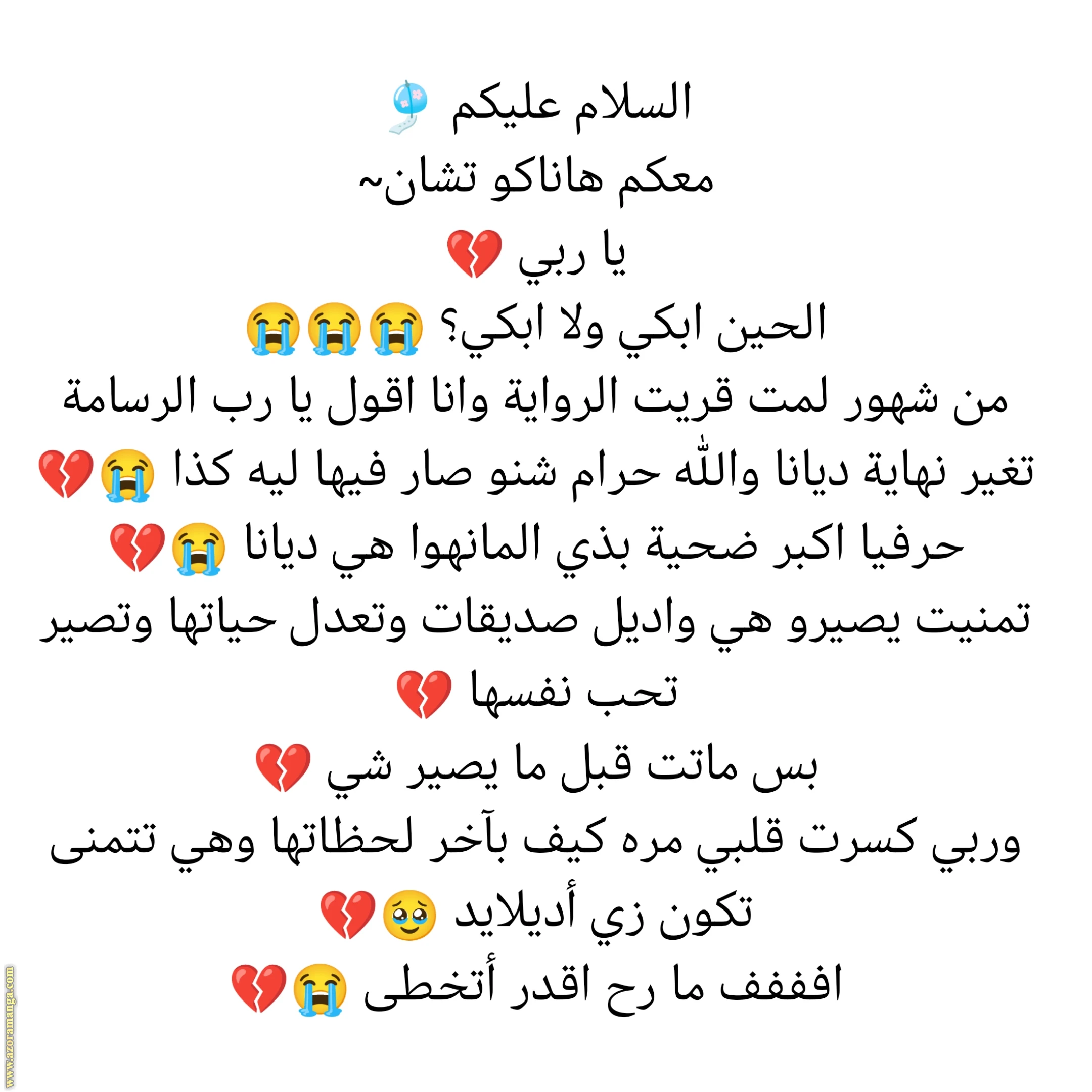 الصفحة 17